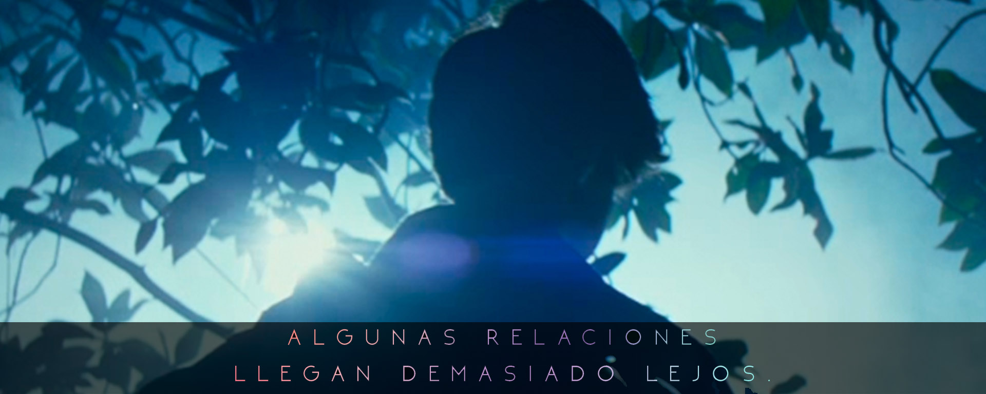 FAAM colabora con Sonae Sierra