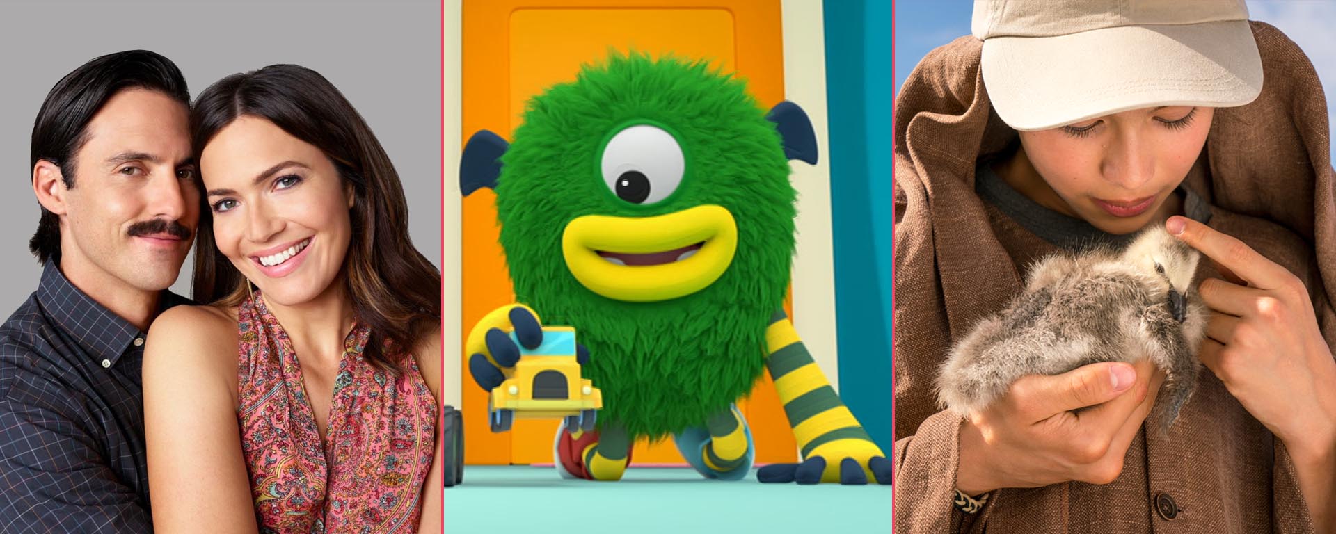 FAAM Ver para apdrender cabecera