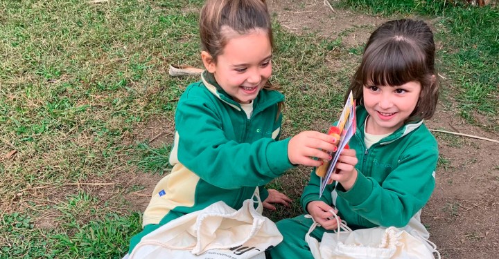 post-FAAM-informe-guayfi-dentro-1