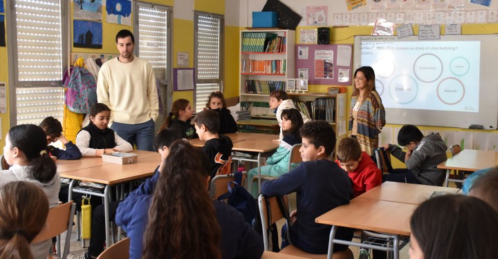 web-FAAM-final-pea-2223-koa